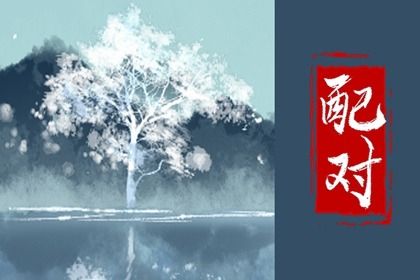 感情分数代表什么